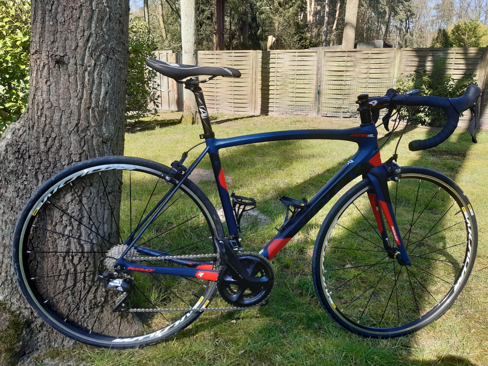 ridley fenix sl disc ultegra 2019