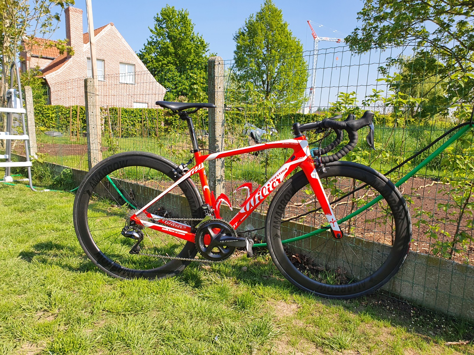 wilier shop online