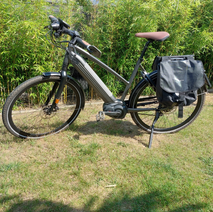 gazelle speed pedelec cityzen